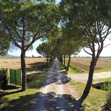 Terra Di Cortona Villa Exterior photo