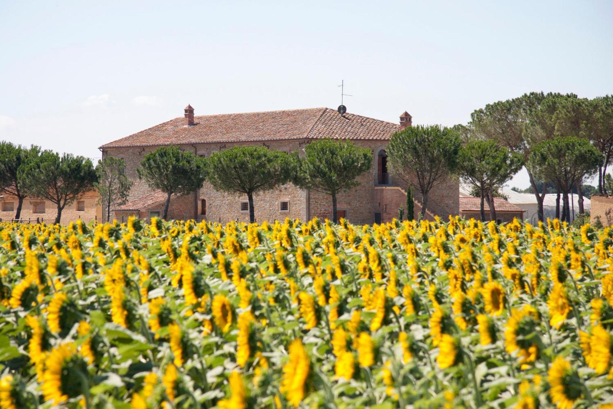 Terra Di Cortona Villa Exterior photo