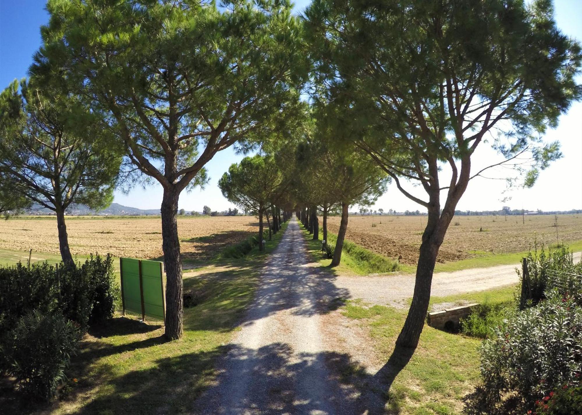 Terra Di Cortona Villa Exterior photo